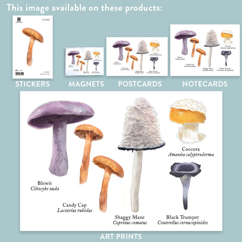 RMU-19 Edible Mushrooms 1