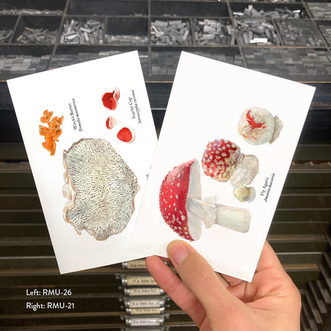 RMU-21 Fly Agaric Mushroom