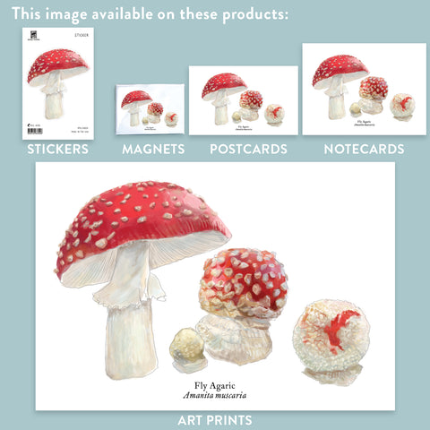 RMU-21 Fly Agaric Mushroom