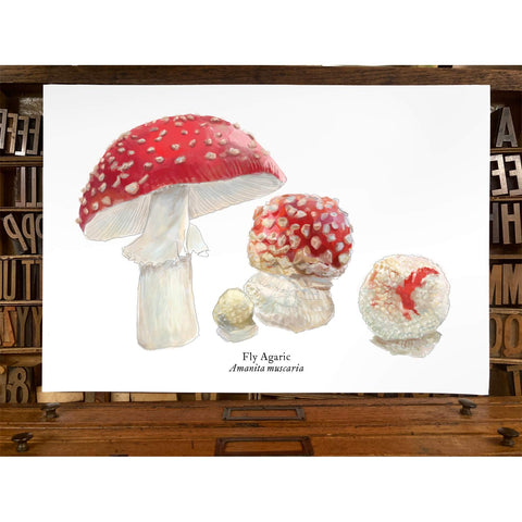RMU-21 Fly Agaric Mushroom