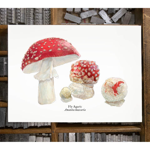 RMU-21 Fly Agaric Mushroom