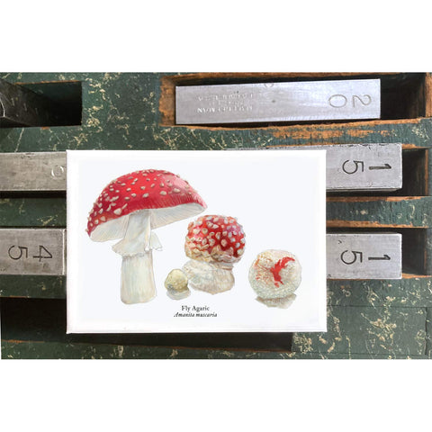 RMU-21 Fly Agaric Mushroom