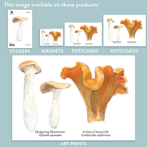 RMU-22 Edible Mushroom 2