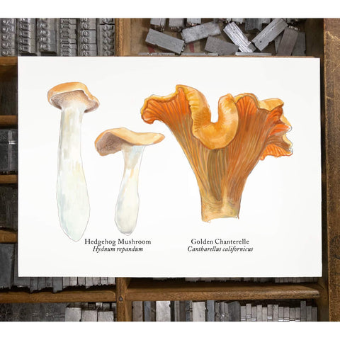 RMU-22 Edible Mushroom 2