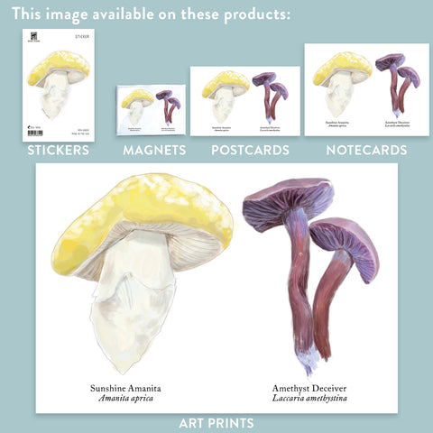 RMU-25 Unusual Mushrooms 1