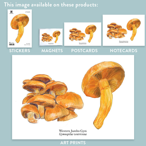RMU-28 Jumbo Gym Mushroom