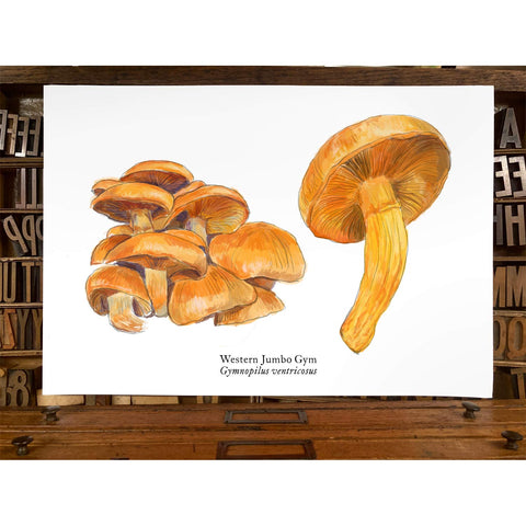 RMU-28 Jumbo Gym Mushroom