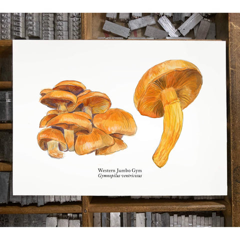 RMU-28 Jumbo Gym Mushroom