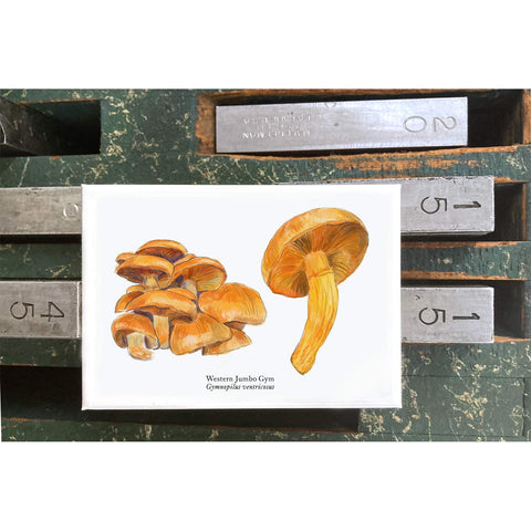 RMU-28 Jumbo Gym Mushroom