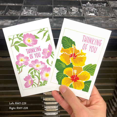RMY-228 Thinking Of You Hibiscus