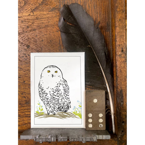 RBI-13 Snowy Owl