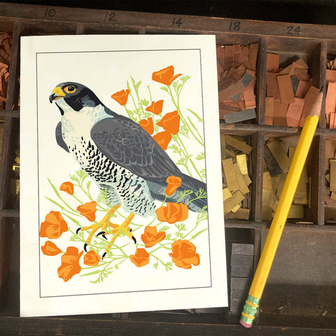 RBI-9153 Peregrine Falcon and California Poppies