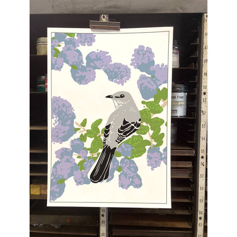 RBI-208  Mockingbird & Ceanothus