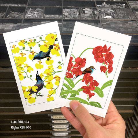 RBI-163 Grackles and Orchids