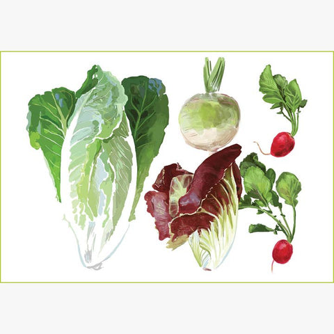 RFM-425 Lettuce and Radishes