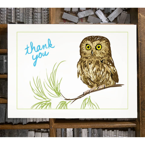 RTY-30 Saw-Whet Owl - Thank You