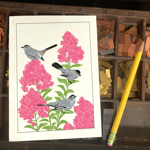 RBI-189  Gray Catbirds and Crepe Myrtle