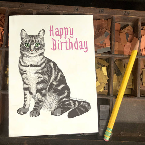 RHB-9025 Happy Birthday American Shorthair Cat