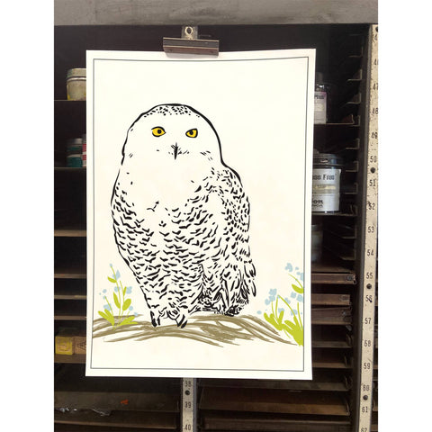 RBI-13 Snowy Owl