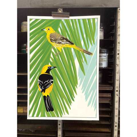 RBI-149 Hooded Orioles & Palm Tree