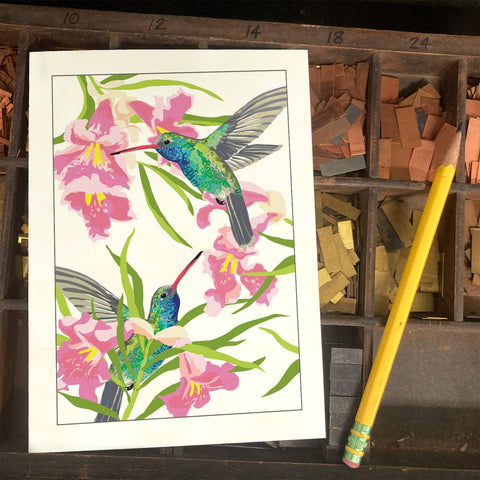 RBI-9150 Broad-Billed Hummingbird and Desert Willow