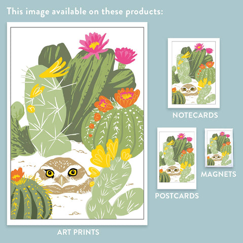 RBI-165 Burrowing Owl and Cacti