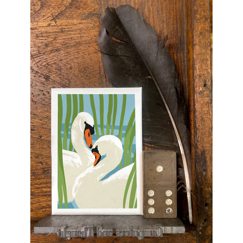 RBI-206 Swans in Reeds