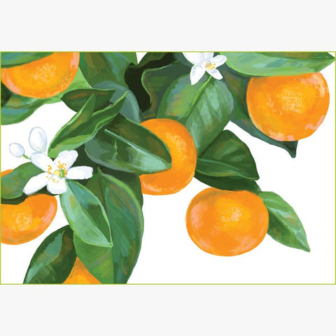 RFM-181 Orange Tree