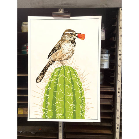 RBI-56 Cactus Wren