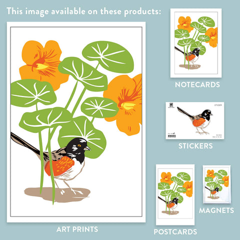 RBI-58 Nasturtium and spotted towhee