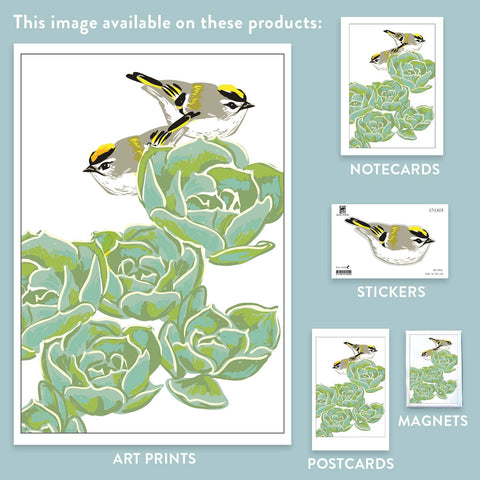 RBI-121 Golden-Crowned Kinglet & Succulents