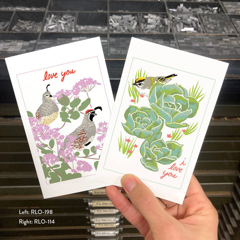 RLO-114 Golden Crowned Kinglet & Succulents - I Love You