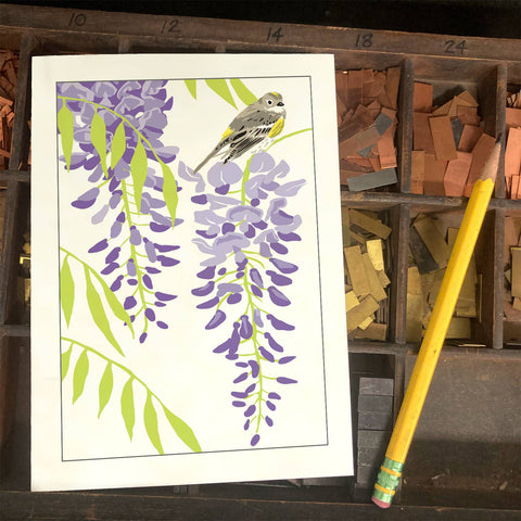 RBI-9137 Wisteria and Yellow Rumped Warbler