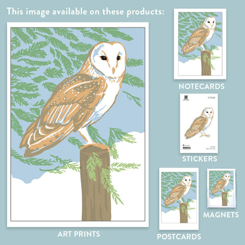 RBI-102 Barn Owl in Redwood