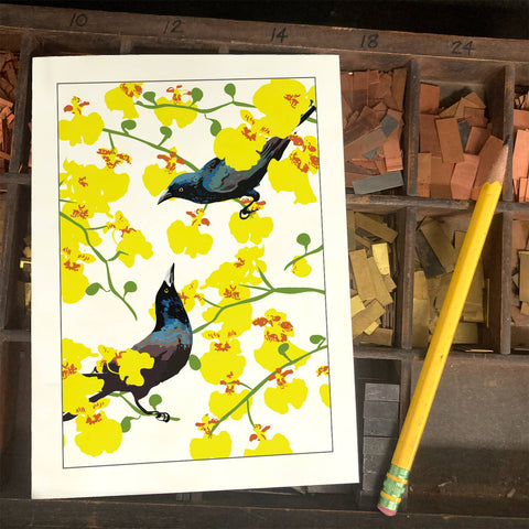 RBI-163 Grackles and Orchids