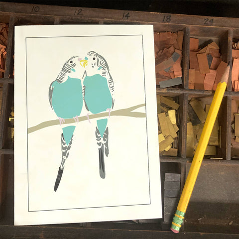 RBI-18 Two Budgies