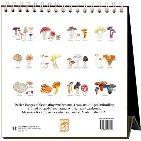 Mushrooms 2027 Easel Desk Calendar - 6 qty
