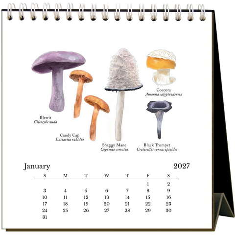 Mushrooms 2027 Easel Desk Calendar - 6 qty