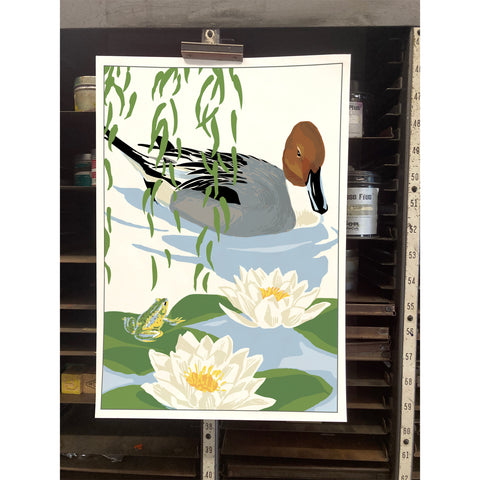 RBI-9167  Pintail, Frog, and Water Lilies