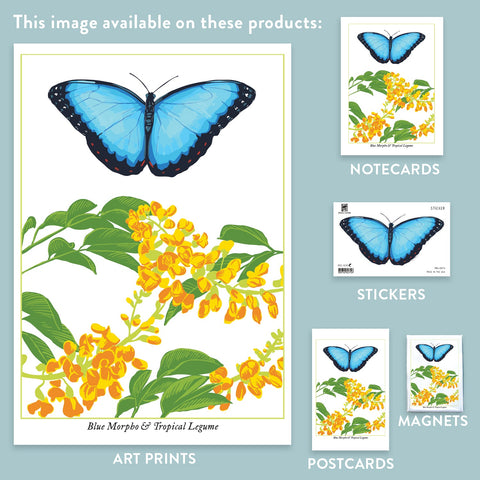 RBU-741 Blue Morpho Butterfly