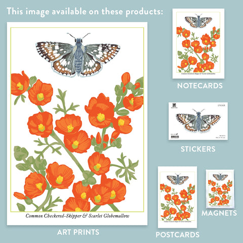 RBU-743 Checkered-Skipper Butterfly