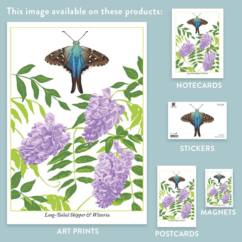 RBU-744 Long-Tailed Skipper Butterfly