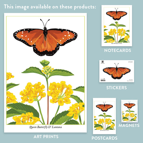 RBU-746 Queen Butterfly