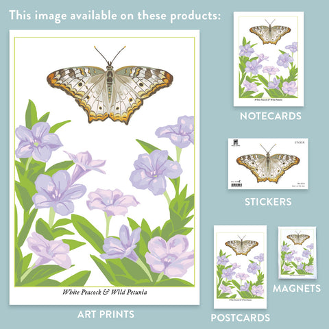 RBU-751 White Peacock Butterfly