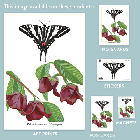 RBU-752 Zebra Swallowtail Butterfly