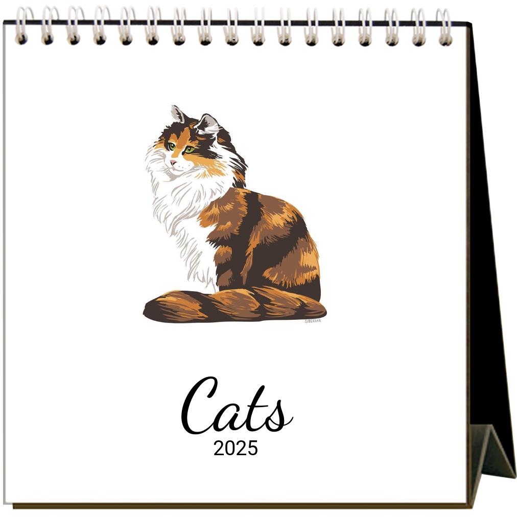 Desktop Calendars – Rigel Paper