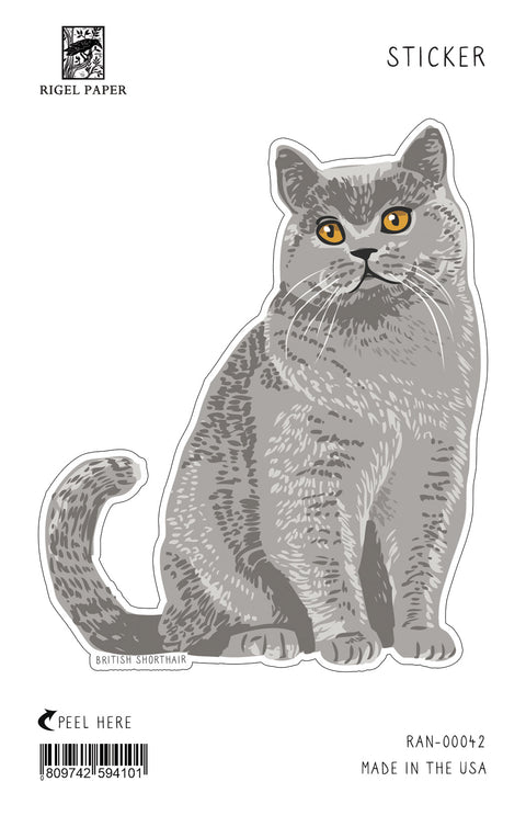 RAN-42 Sticker: British Shorthair Cat